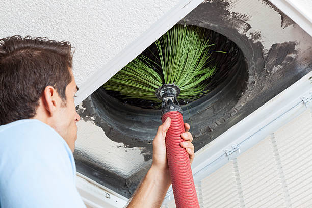 Best Best Air Duct Cleaning Company  in South Williamsport, PA