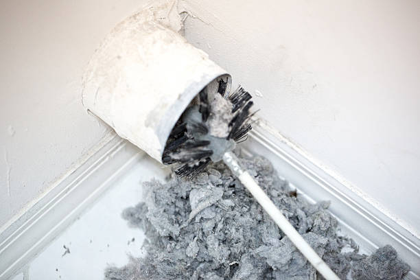 Best Duct Cleaning for Offices  in South Williamsport, PA